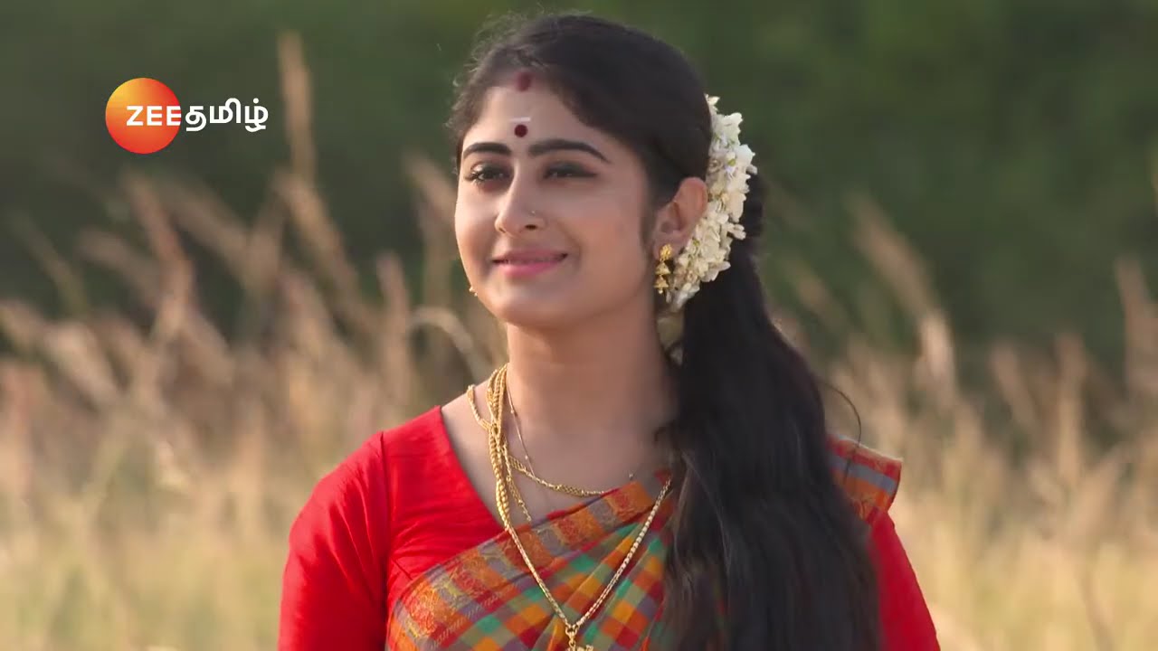 Kandukondain Kandukondain - Full Ep - 254 - Vikram, Preethi, Thenmozhi - Zee Tamil