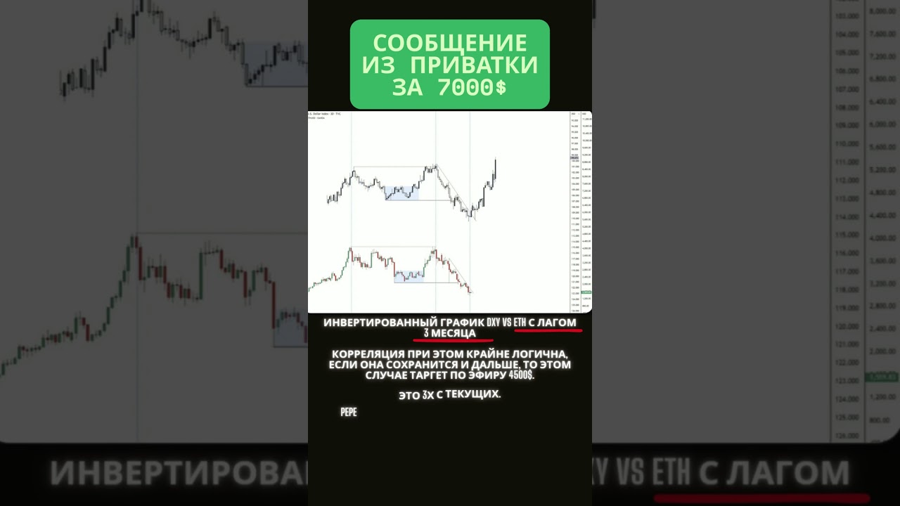 Ты платишь $7000 &mdash; и получаешь&hellip; твиттер?