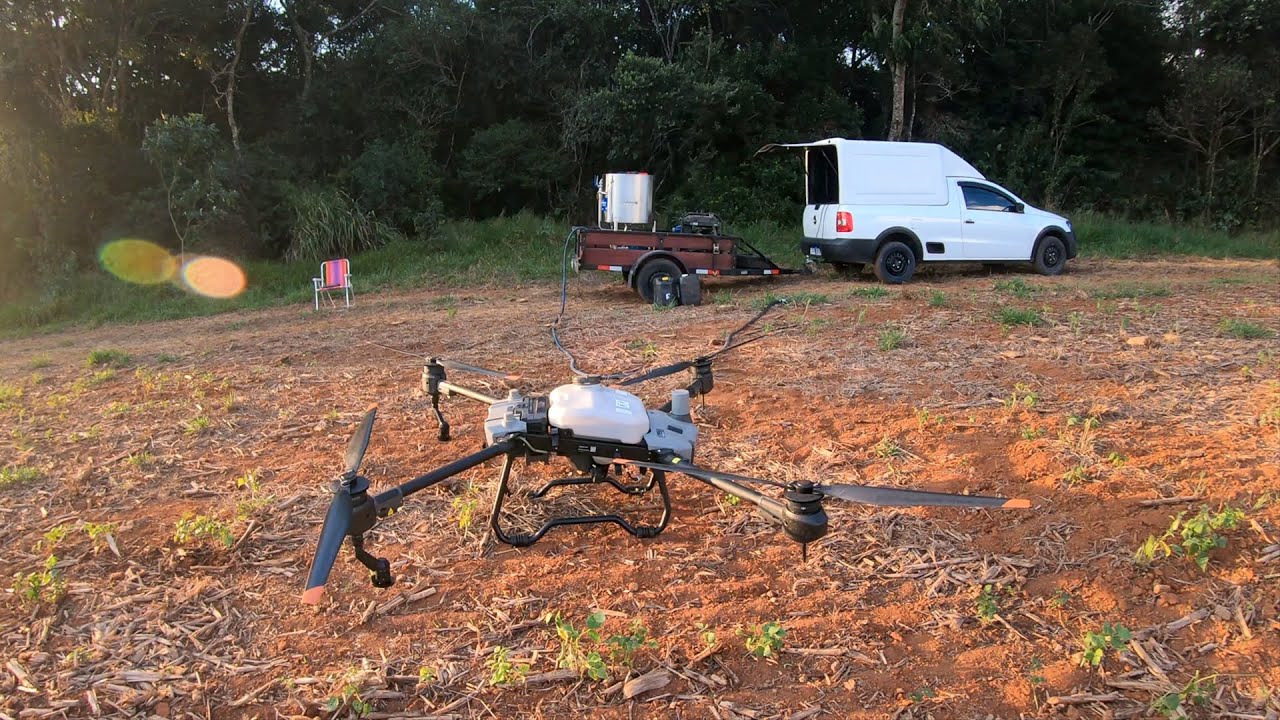 Capinando trigo. Estreando equipamento novo.