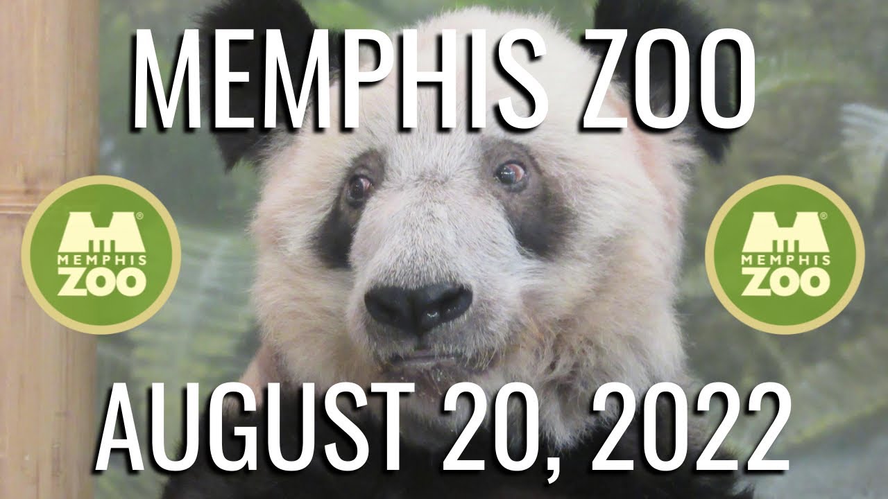 Memphis Zoo | August 20, 2022