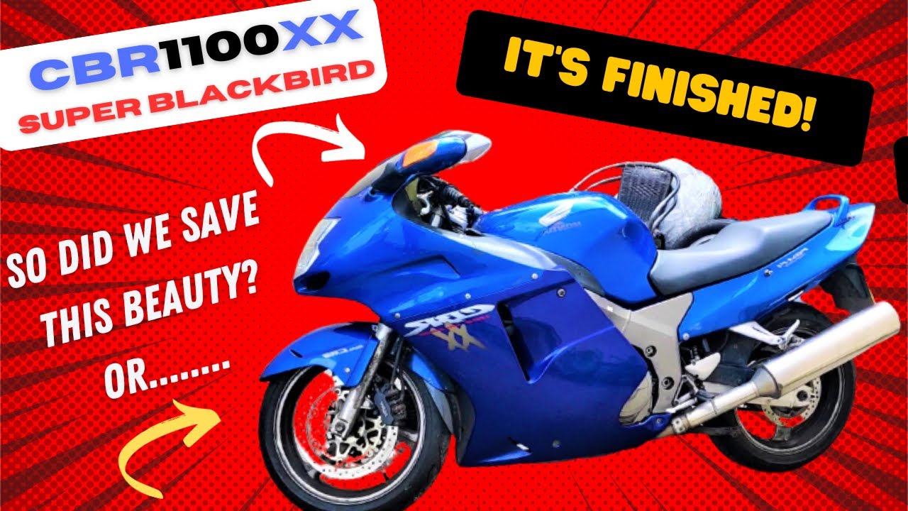 Обзор и мысли о Honda Super Blackbird CBR 1100 XX 2000 года — наконец-то проект Big Bird завершен!