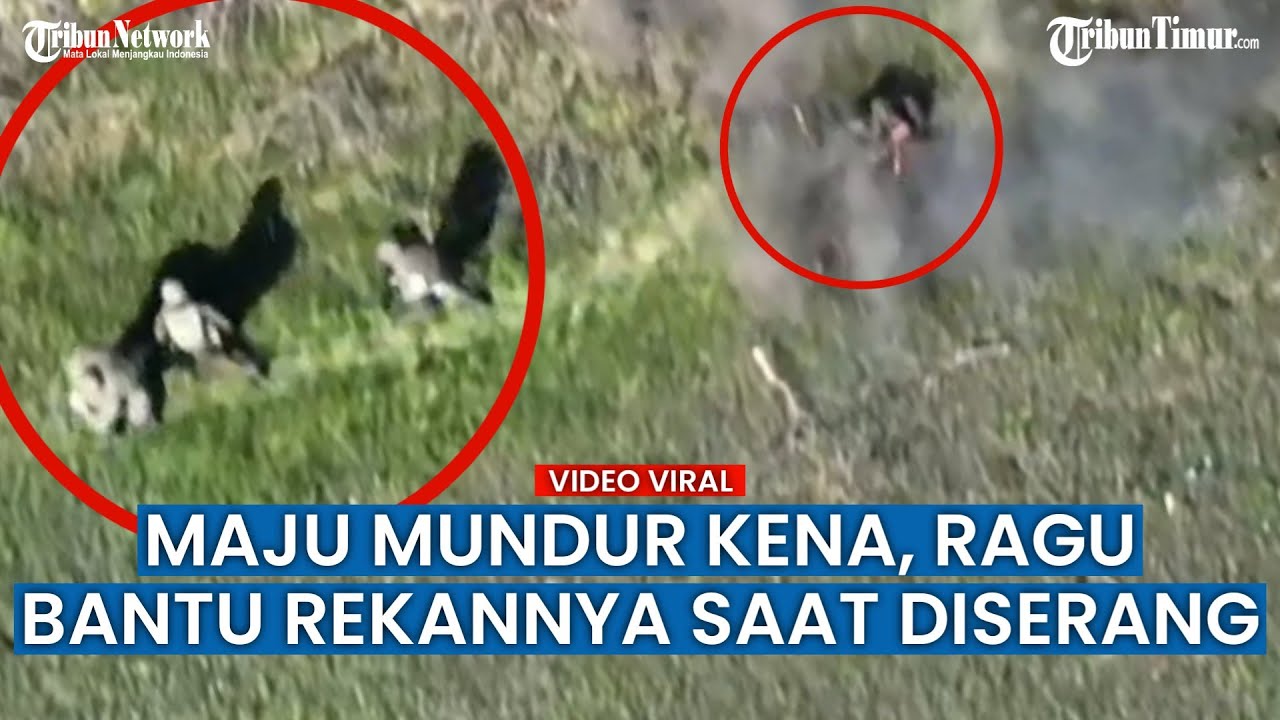 Prajurit Ukraina Dilempari Granat dari Udara, Rekan-rekannya Kebingungan Menolong