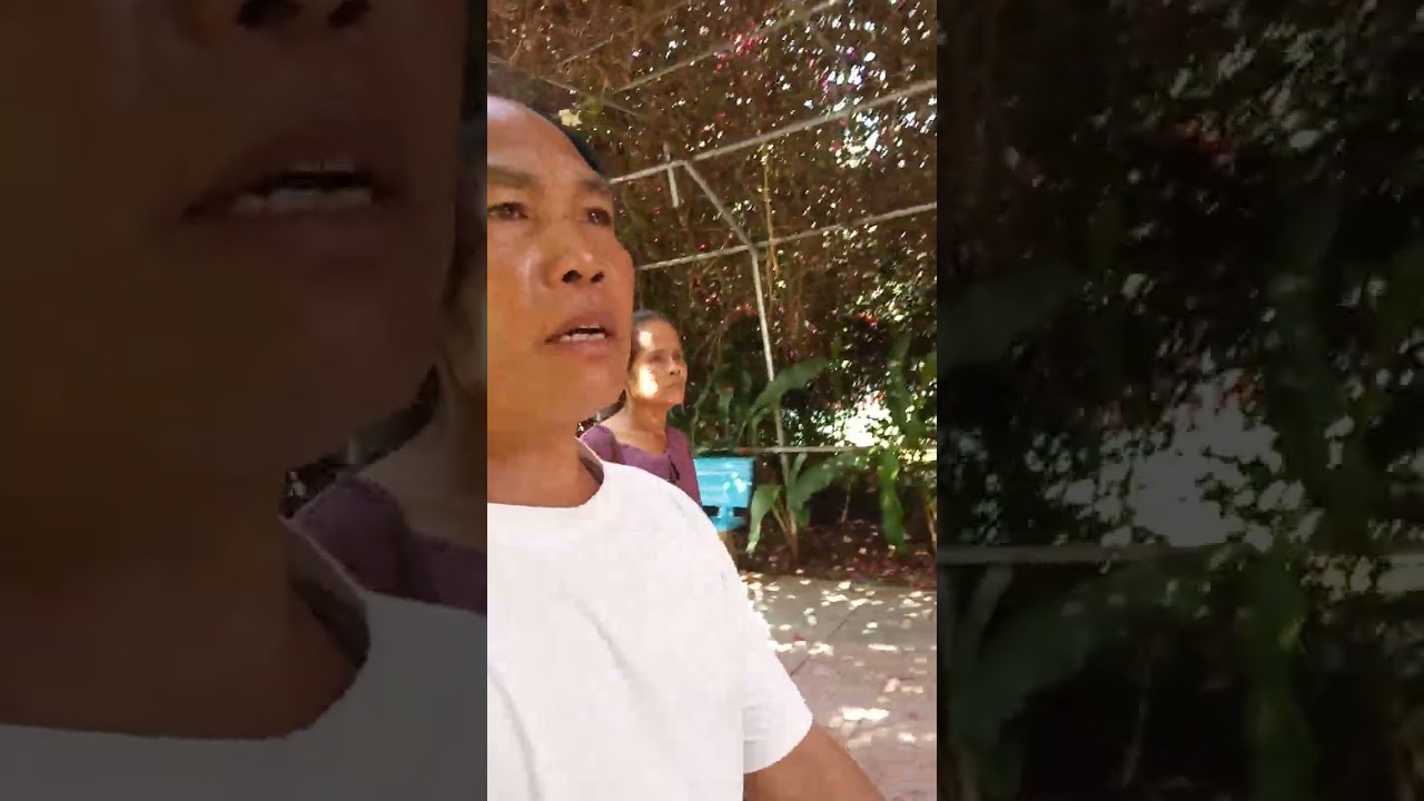 เทียวเสียงควน