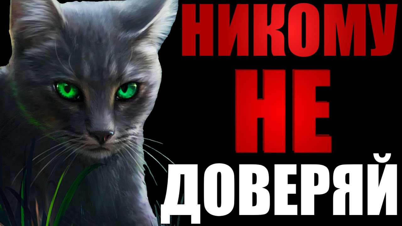 Экспресс обзор восьмого цикла | Коты-Воители