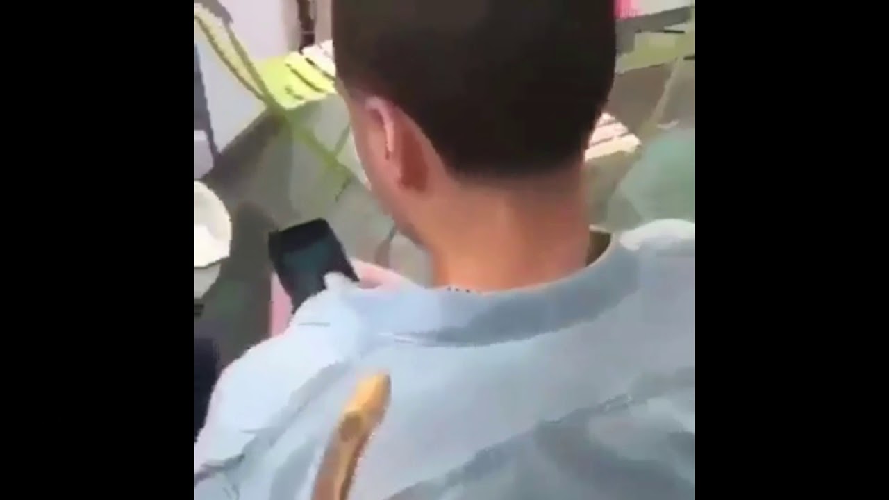 prikolebi