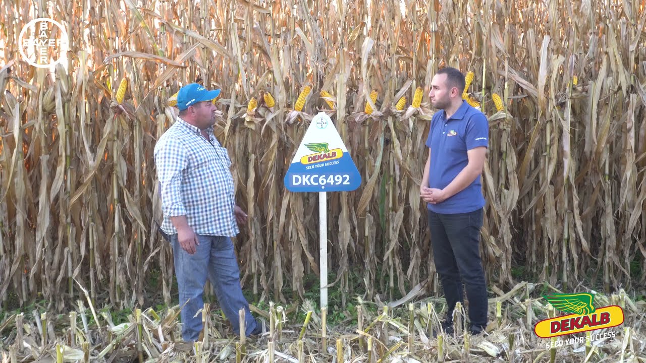 DKC6492 - Bursa, Karacabey & Hamidiye