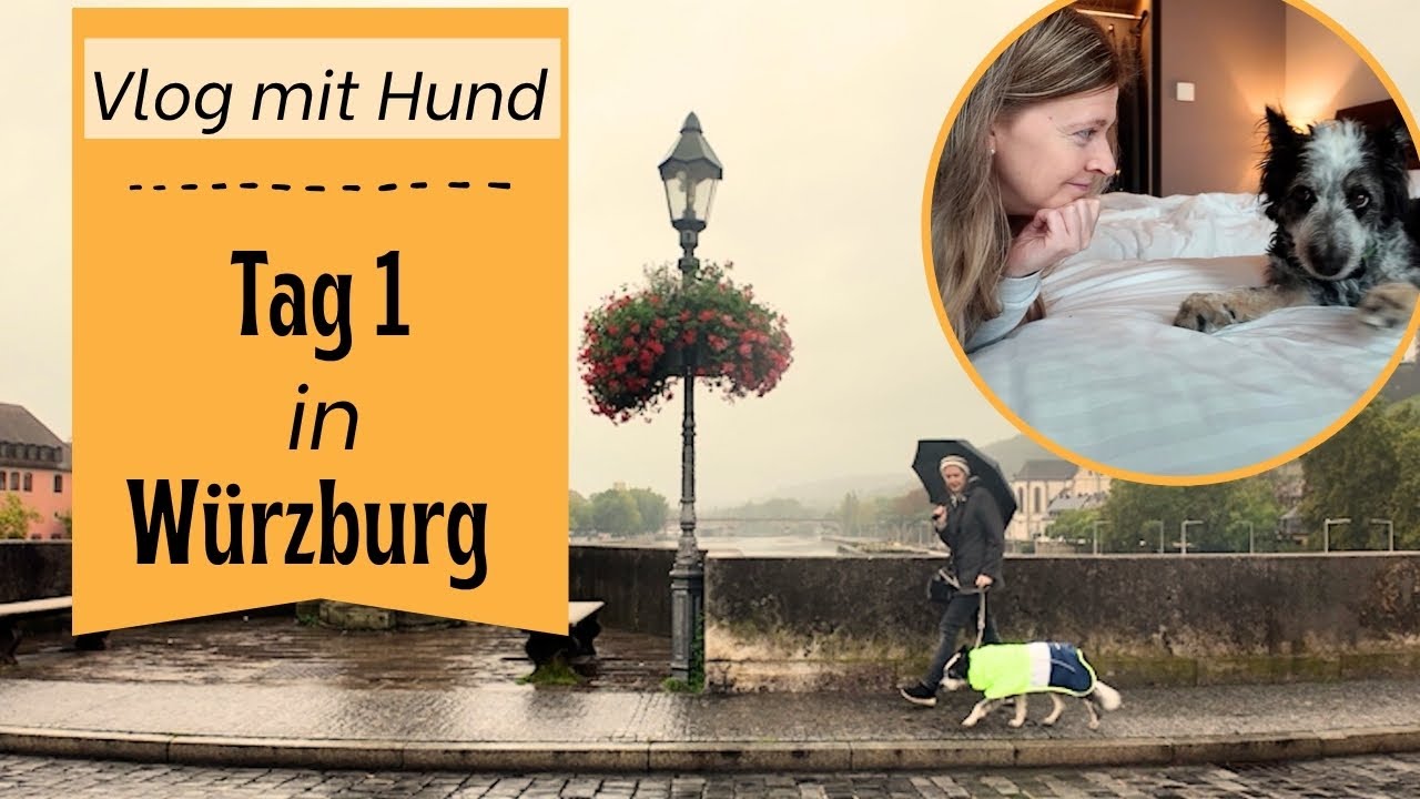 WÜRZBURG erkunden! - Mit HUND im HERBST - Vlog 1/2