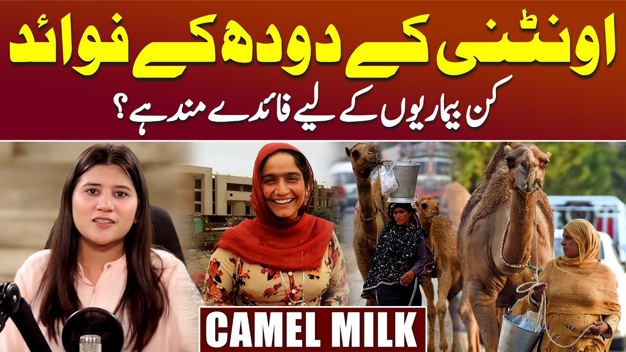 Surprising Benefits of Camel Milk | Oontni Ka Doodh Ke Fayde | Bushra Tariq