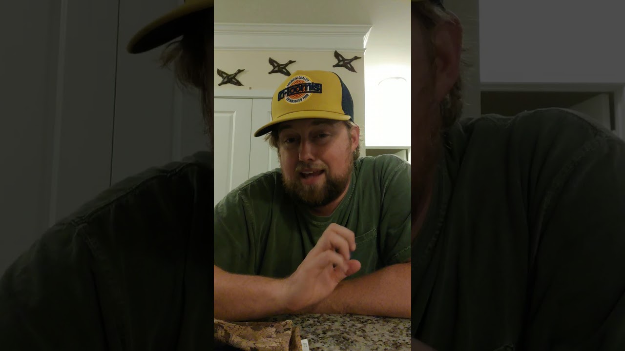 Sitka review - gloves