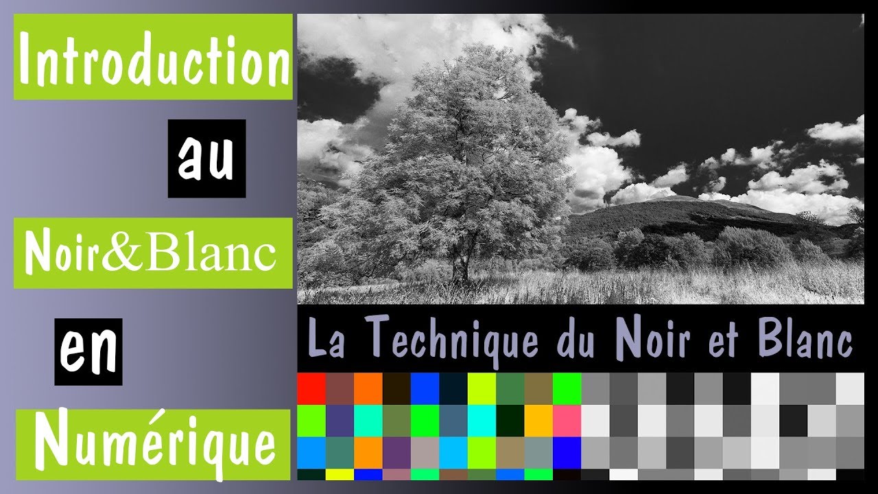 Introduction au noir et blanc numérique