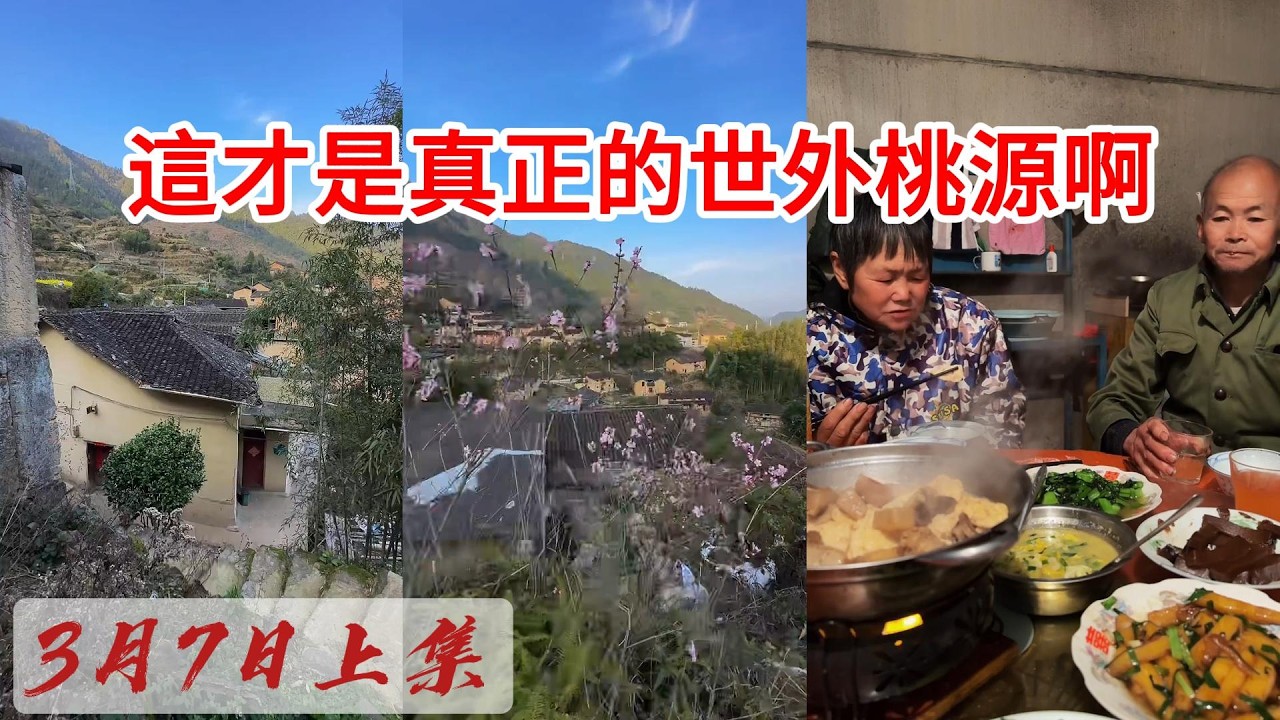 鄉村蹭飯實錄：從充滿希望到懷疑人生的一天 2026-03-07 09:43:41