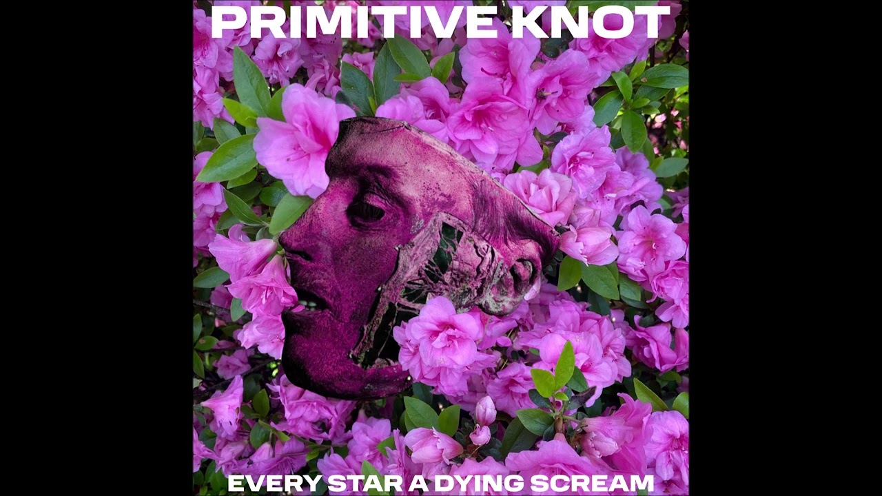 Primitive Knot: Every Star a Dying Scream