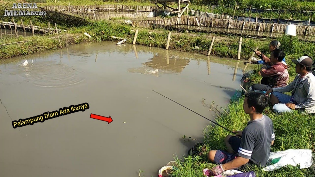 Mancing Borongan Ikan Nila, Ikan Tak terlihat Menambah Keseruan