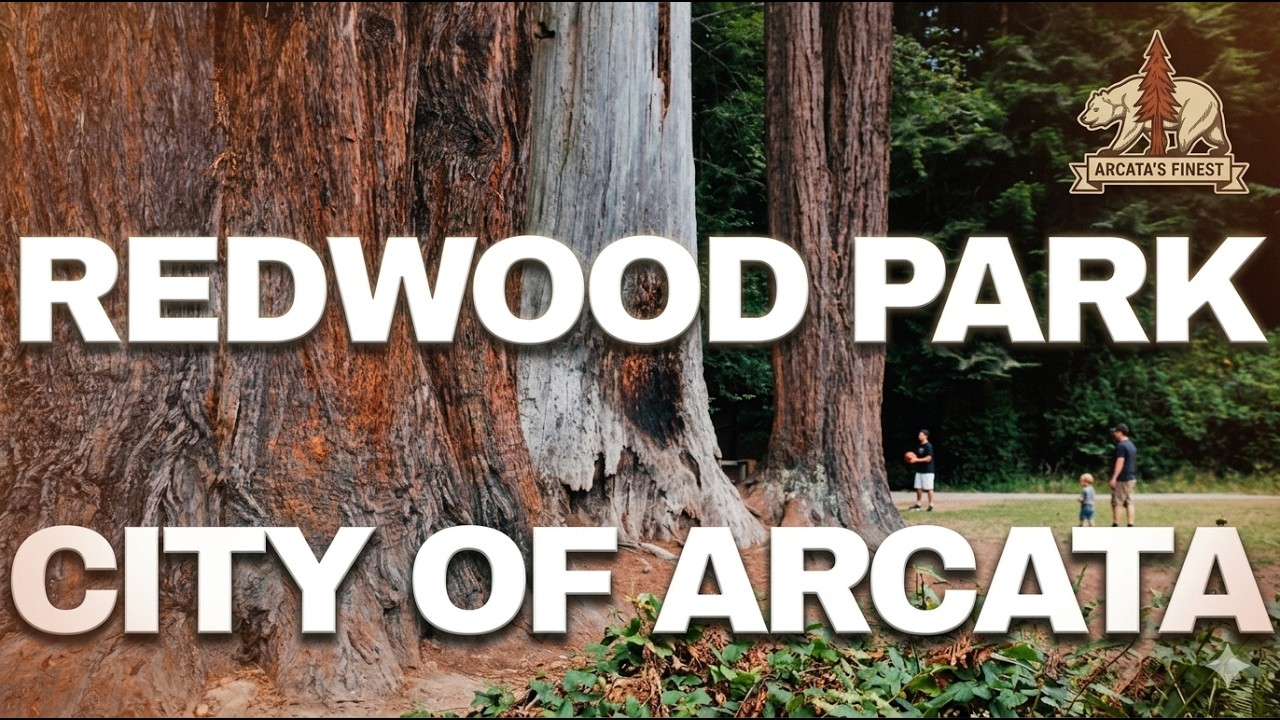 Redwood Park City of Arcata: Trails, Hoops & Ancient Giants Trees