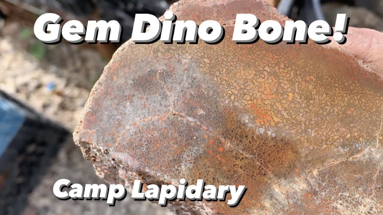 Rockhounding Utah's Best Rock Shop / Utah Dump Digger