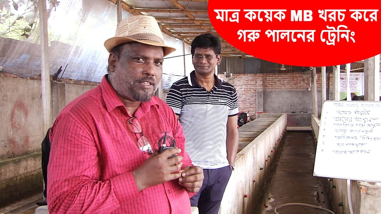 মাত্র কয়েক এমবি খরচ করে গরু পালনের ট্রেনিং | Cow farming training