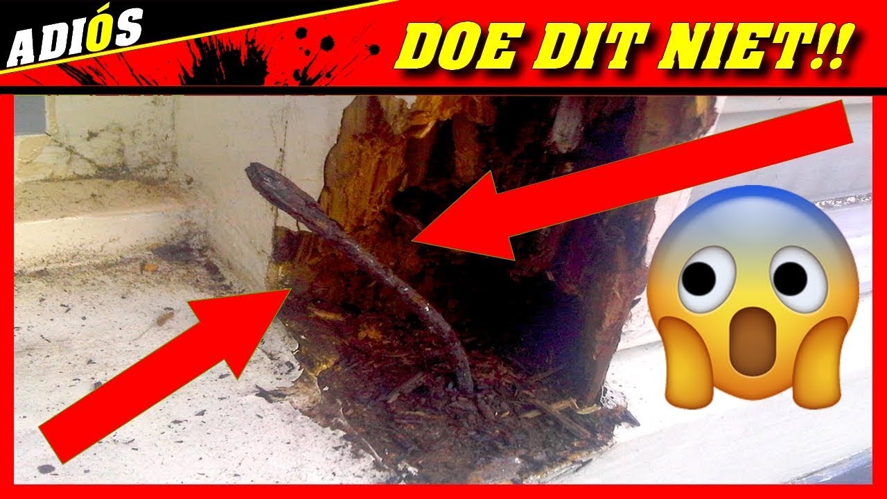 HOUTROT REPAREREN , De 10 MEEST GRUWELIJKSTE houtrot TIPS op YouTube!