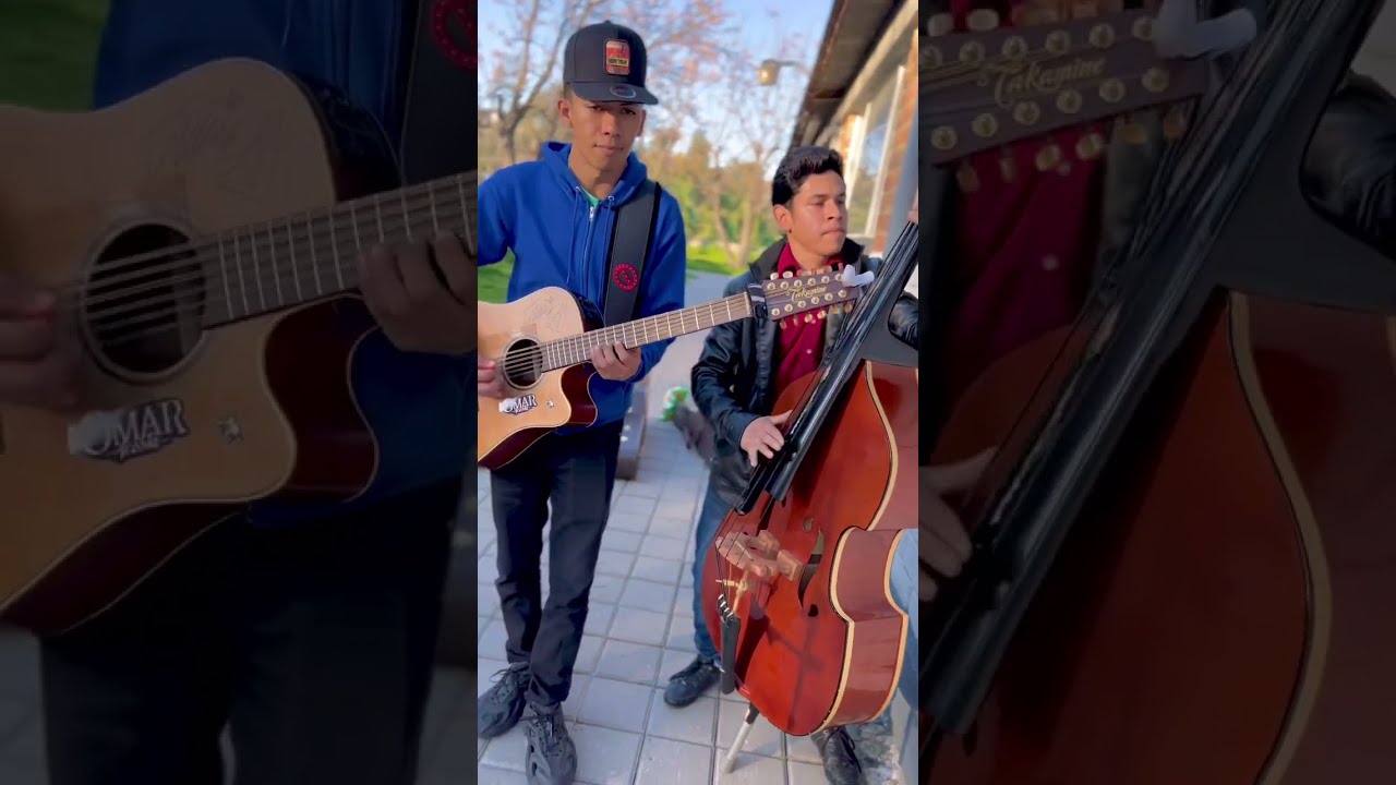 PRC🦜🛞💎- Natanael Cano, Peso Pluma (Omar Acosta Cover)