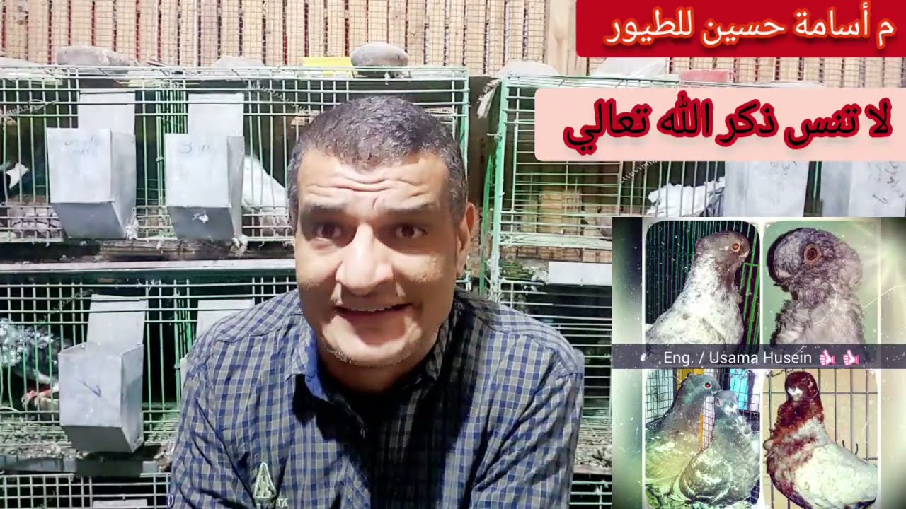 للطيور وخاصة الحمام الجدول الوقائي الصيفي لموسم ٢٠٢١ م أسامة حسين