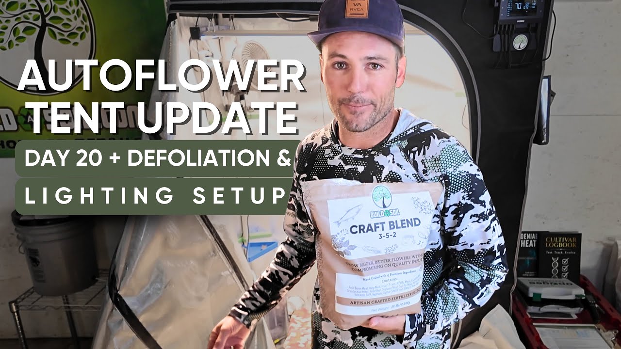 BuildASoil: Autoflower Tent // EarthBox Grow // Defoliation, Super Cropping & Lighting Setup