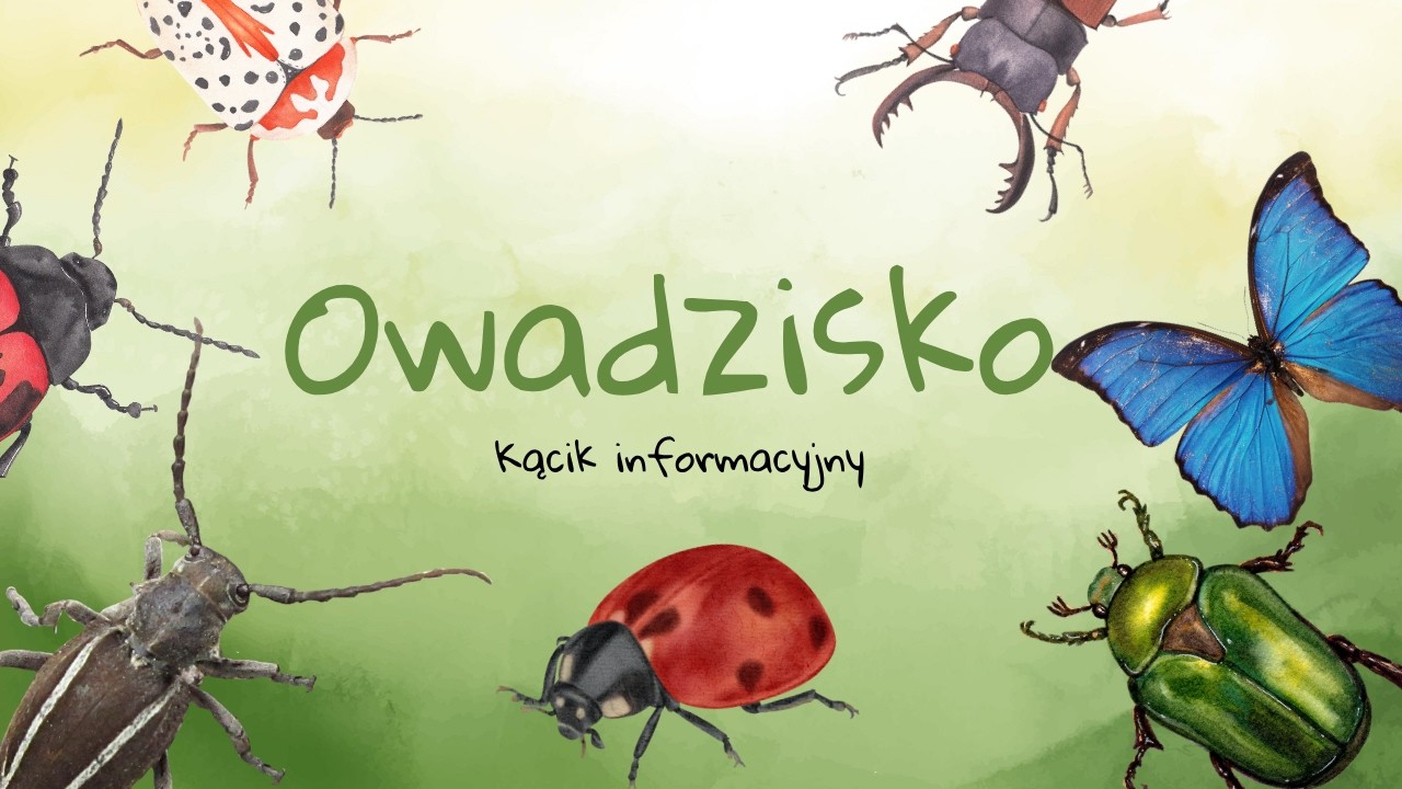 Owadzisko #9- Informacje po przerwie