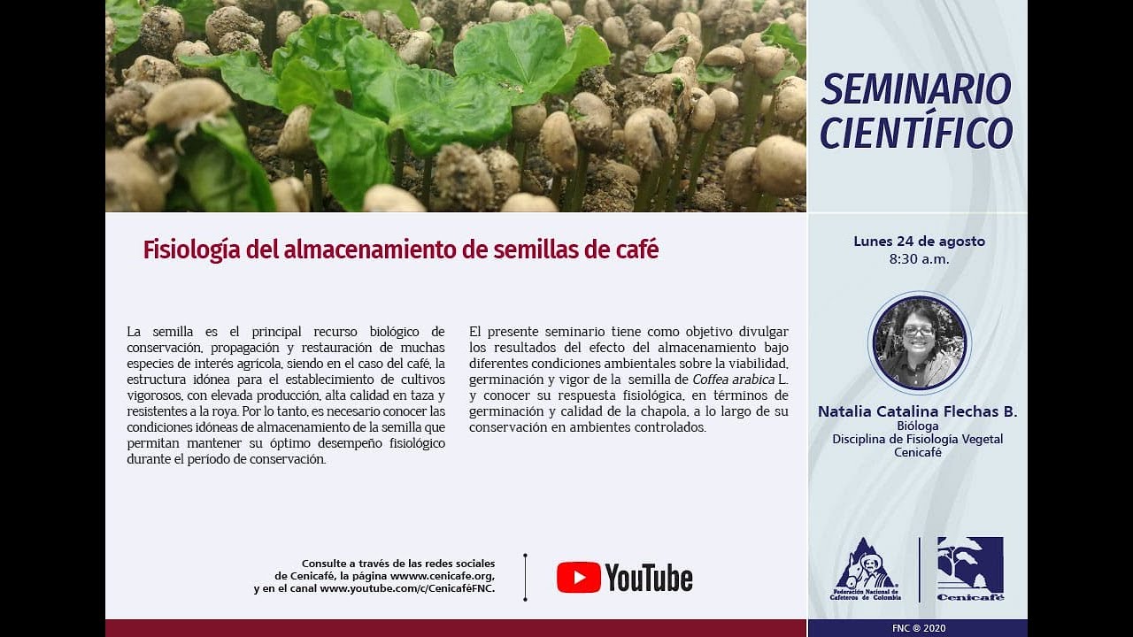 Fisiología del almacenamiento de las semillas de café
