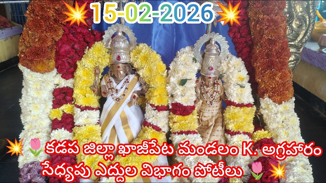 💥🌾K. అగ్రహారం సేధ్యపు ఎద్దుల విభాగానికి 15వ జత 💥15-02-2026💥