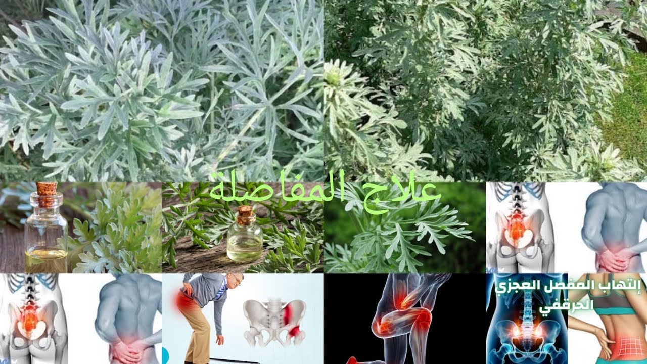 علاج لالام المفاصل بمكونات طبيعيه وموجوده في كل بيت نتيجه عن تجربه 100%