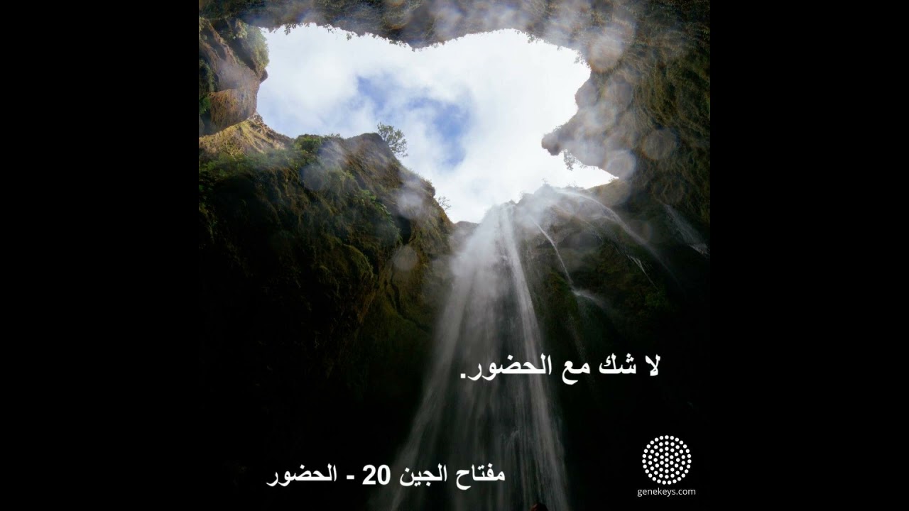 مفتاح الجين 20
