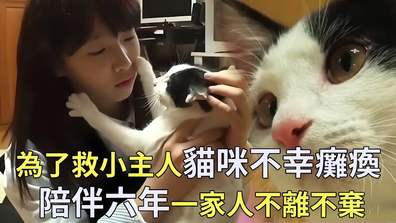 貓咪從死神手中救小主人，自己卻從此癱瘓生活不能自理，相伴六年一家人也不離不棄【小奶狗觀影】