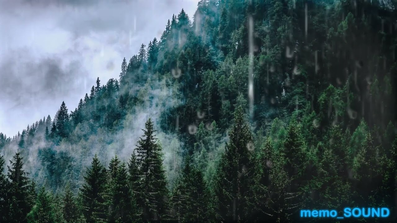 Suono della Pioggia - Rumore Rilassante in un bosco di Montagna