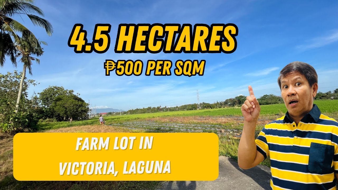 FOR SALE FARM LOT IN VICTORIA, LAGUNA| Los Baños Real Estate