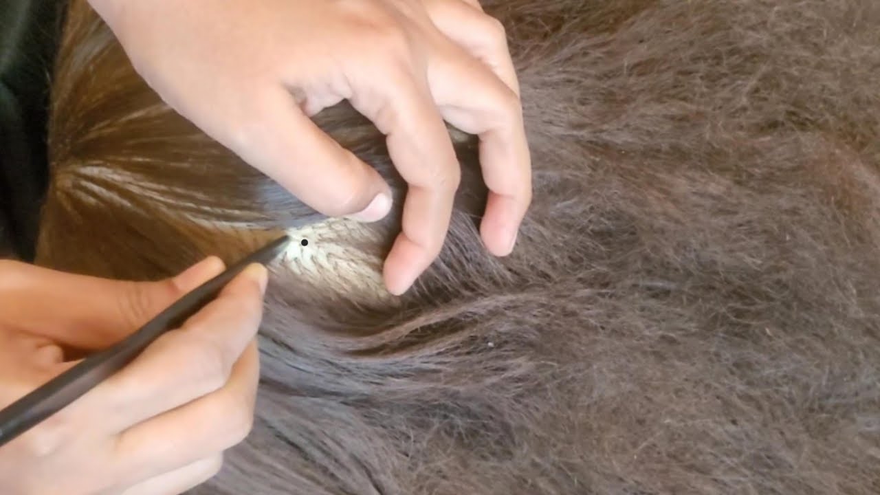 ASMR Scalp Check: The Most Relaxing Experience Ever