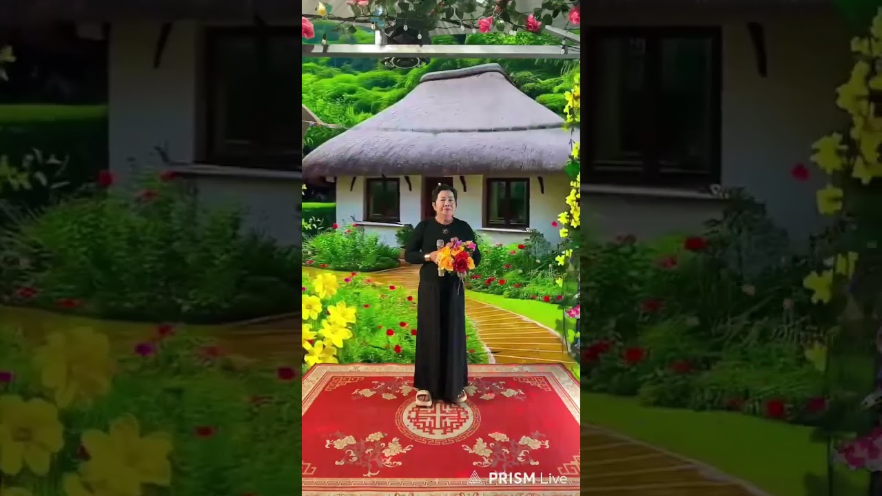 Nhạc trữ tình trình bày Hồng cưỡng