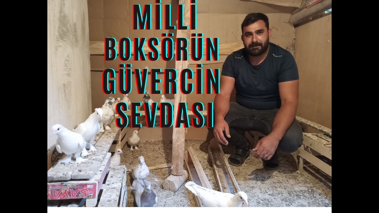 ESKİ MİLLİ BOKSÖRLERDEN NURETTİN DİYİCİNİN GÜVERCİN SEVDASI