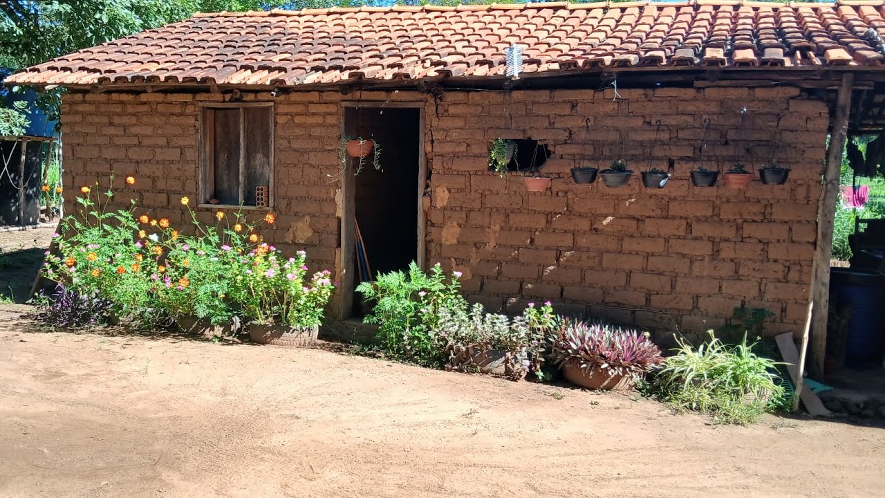 ✨ CANTEIRO DE ROSAS COM PEDRAS FINALIZADO 🌸 | Transformação Linda na Rocinha 💖🌿