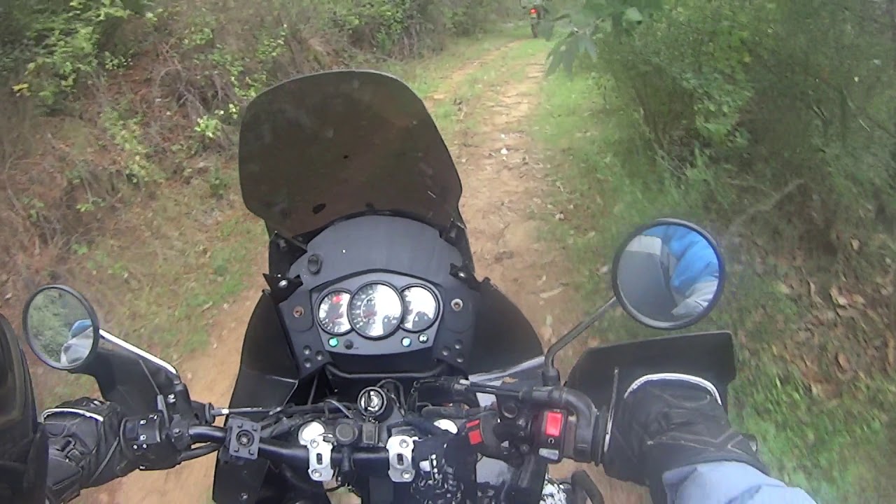 Ruta forestal en Honda Transalp 650 y Kawasaki Klr 650