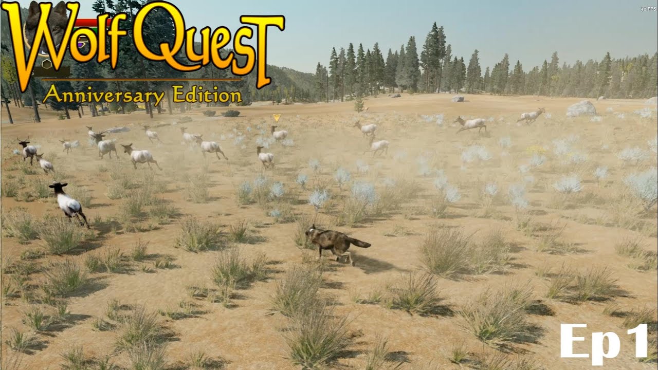 Released Into the Wild...!!! | Ep1 | Wolfquest