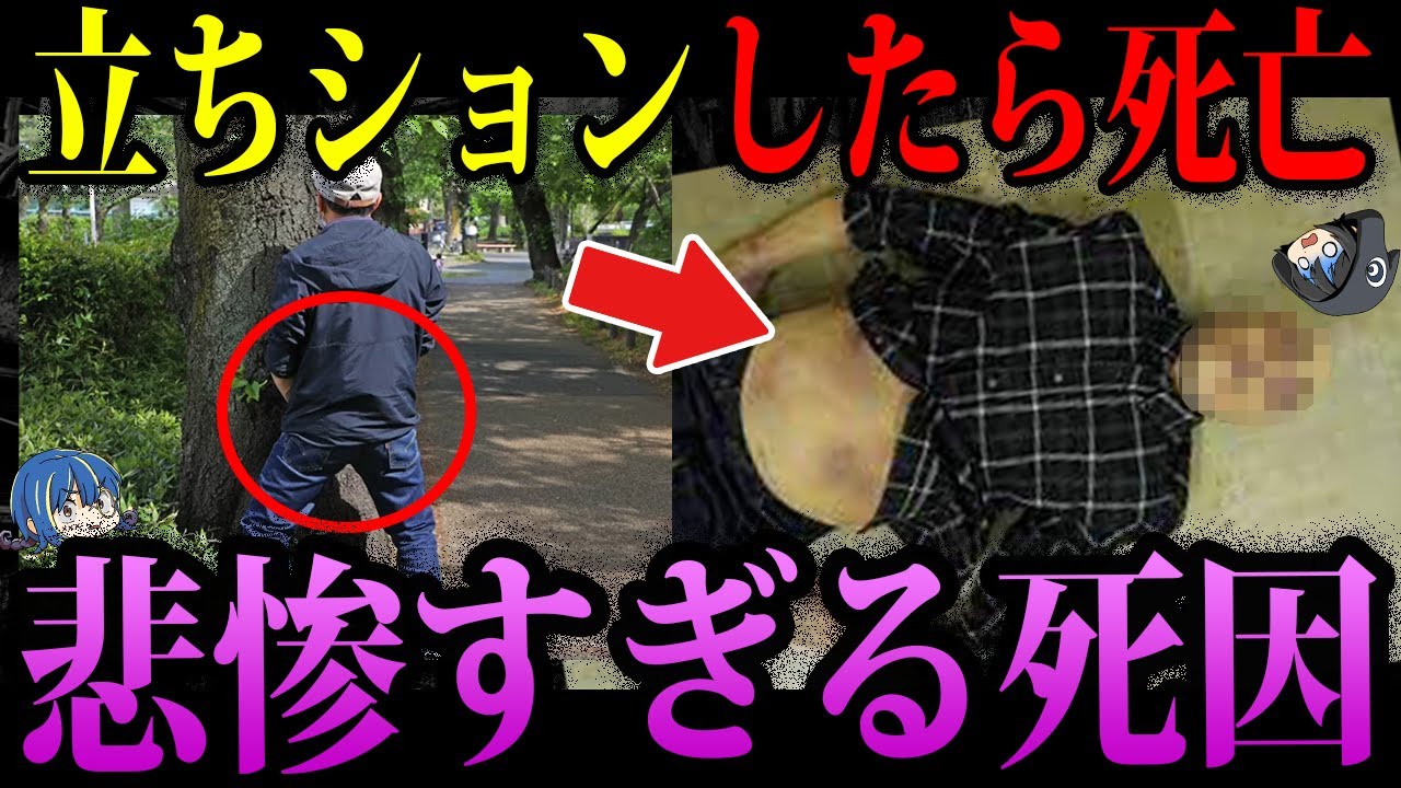 【ゆっくり解説】絶対に真似しないでください。本当にあったありえない死因