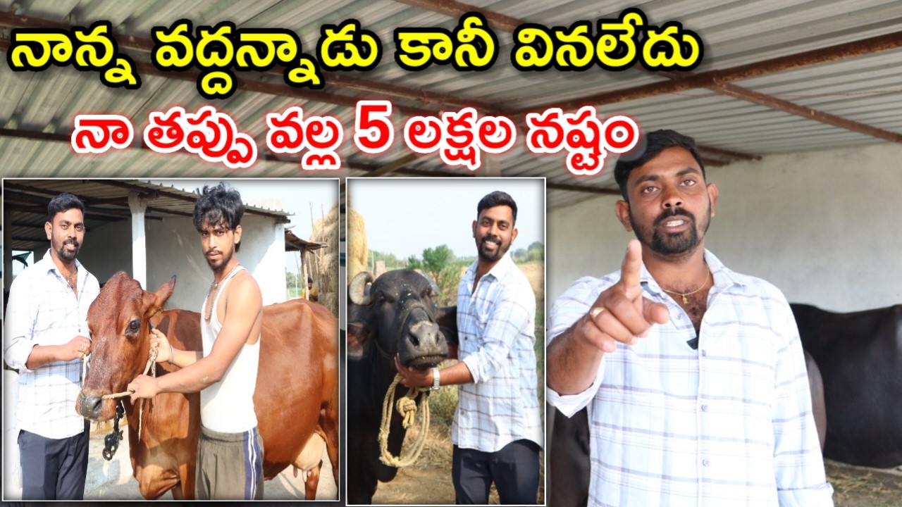 5 లక్షలు నష్టం 5 lacks loss in dairy farm @MalleshAdla