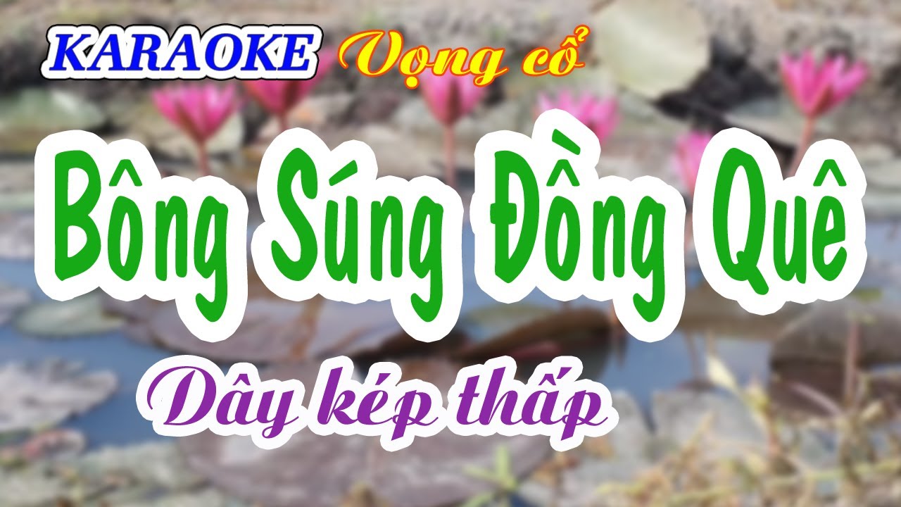 KARAOKE   BÔNG SÚNG ĐỒNG QUÊ _ Dây kép thấp