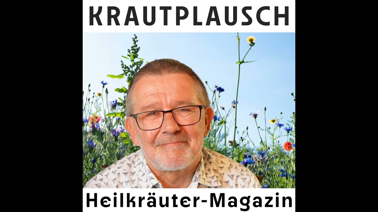 🧅 Zwiebeltee