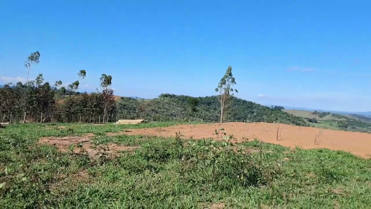 E POR AQUI COMEÇANDO A PLANTAR AGAVEAS,EM TODA SUA EXTENSÃO BORA
