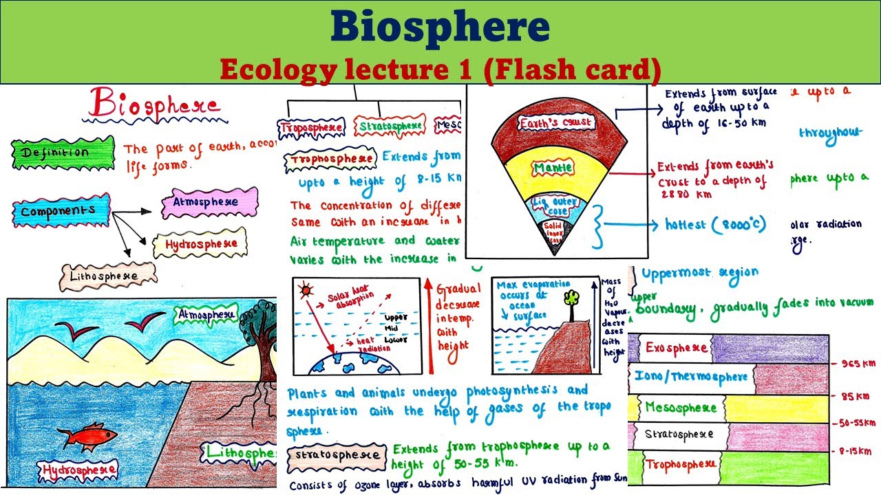 Biosphere | Definition | Components | Importance | Ecology lecture 1 | UG | PG | UPSC