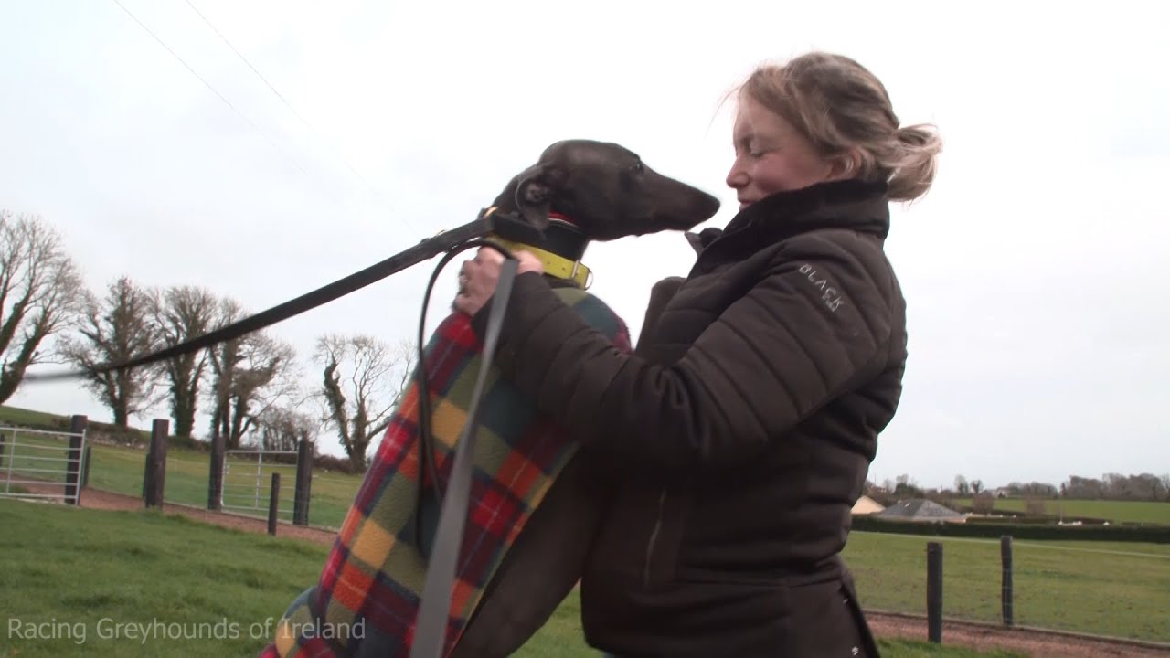 For The Love of The Dogs | #BehindTheTrack Part 1