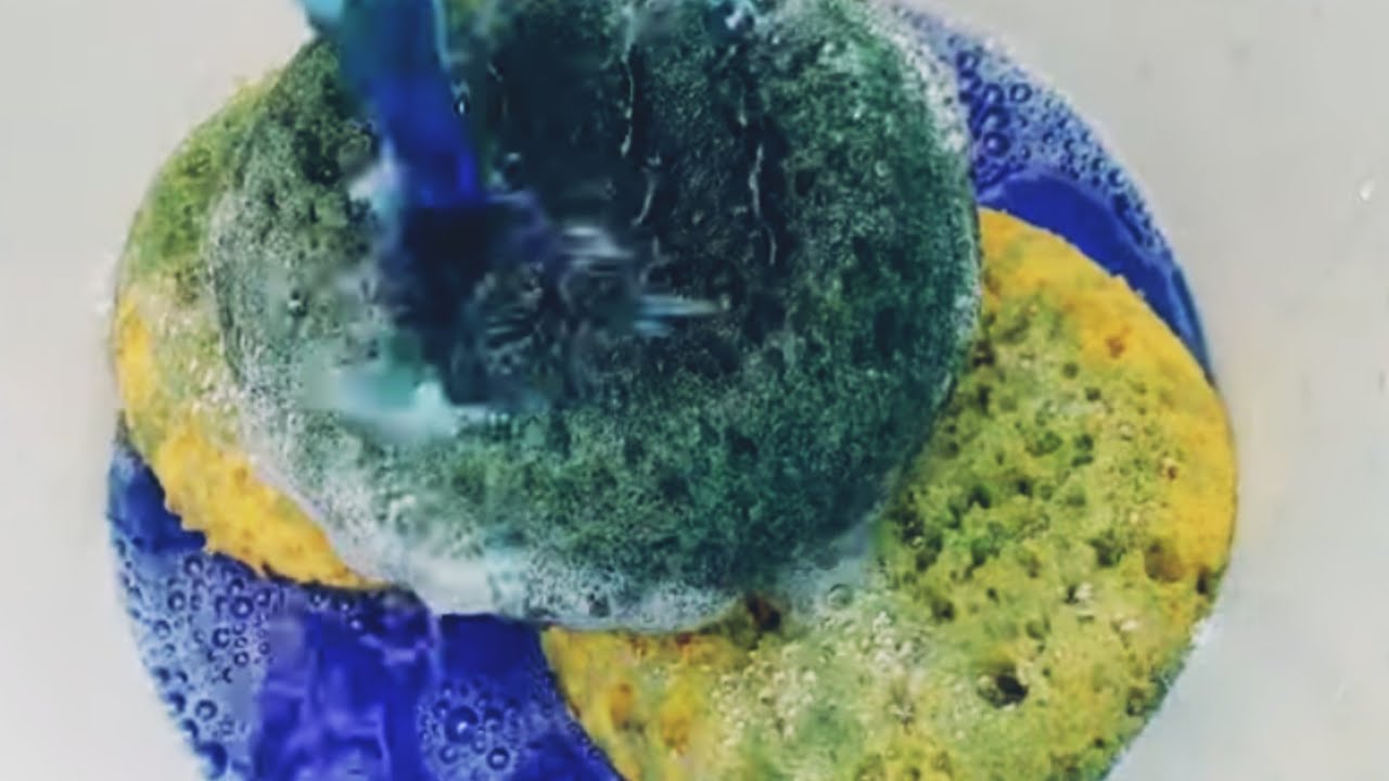 ASMR Fabuloso Tropical Spring/ Thunder & lightning🌩