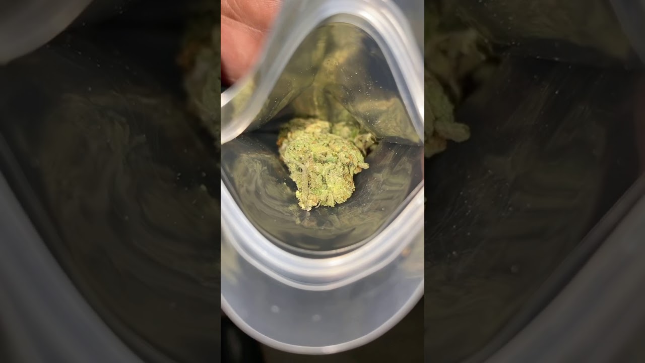 Mota