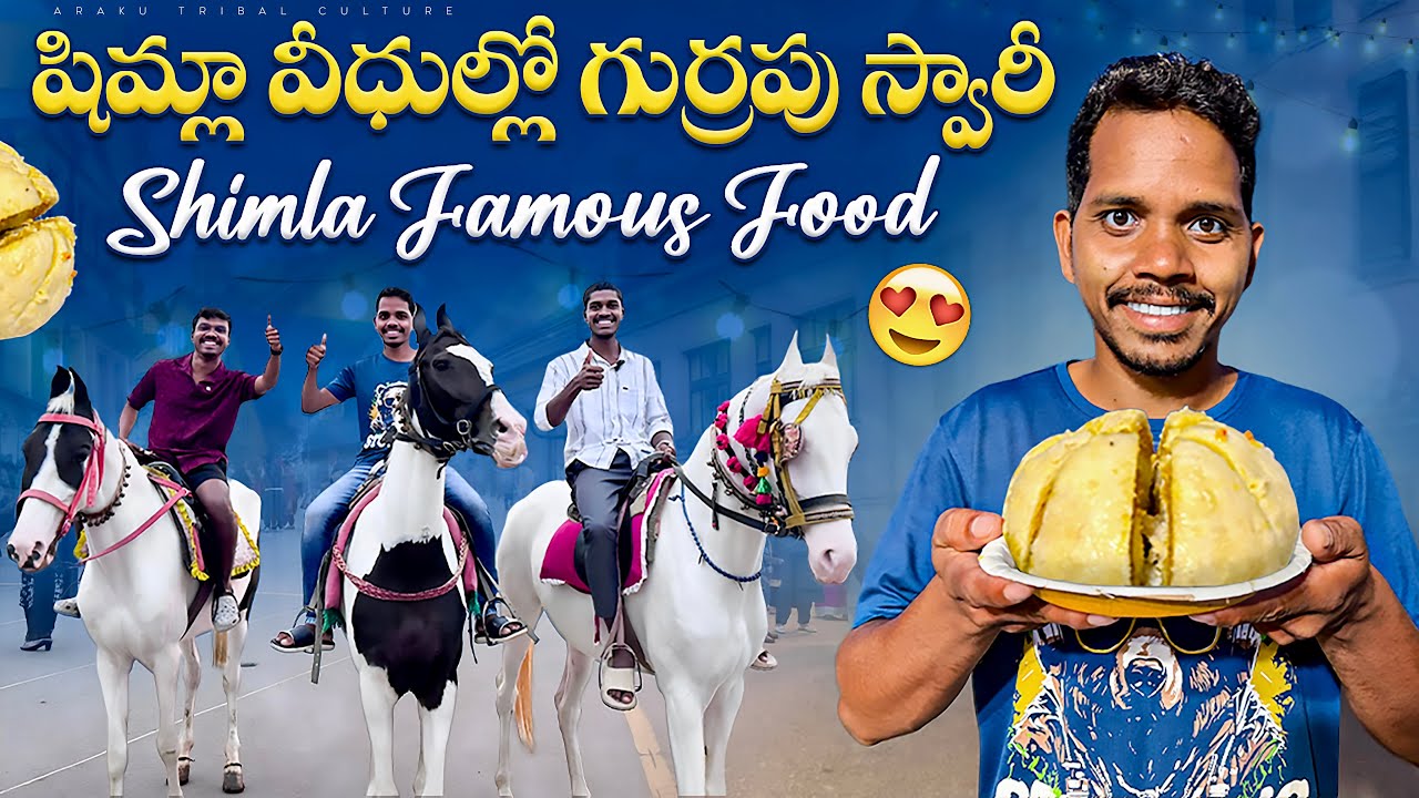Shimla | షిమ్లా వీధుల్లో గుర్రపు స్వారీ | ఇదీ భూలోక స్వర్గం 😲 Araku Tribal Culture
