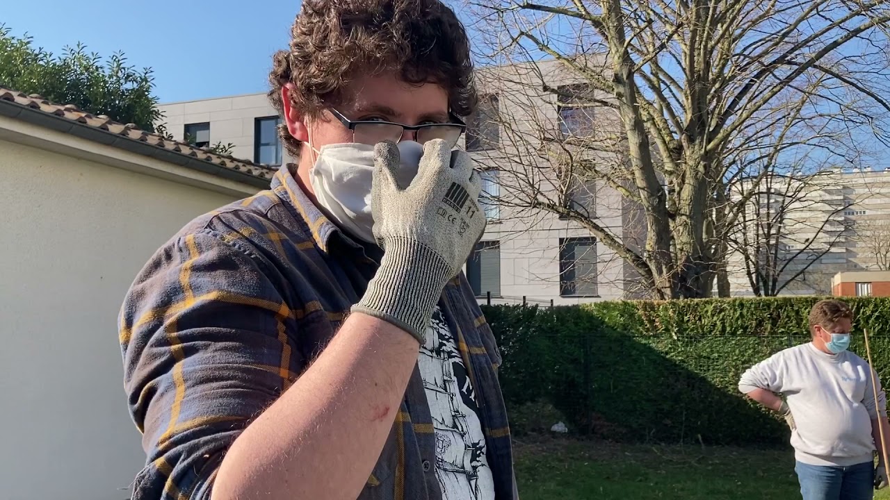 Les écoliers ont la main verte