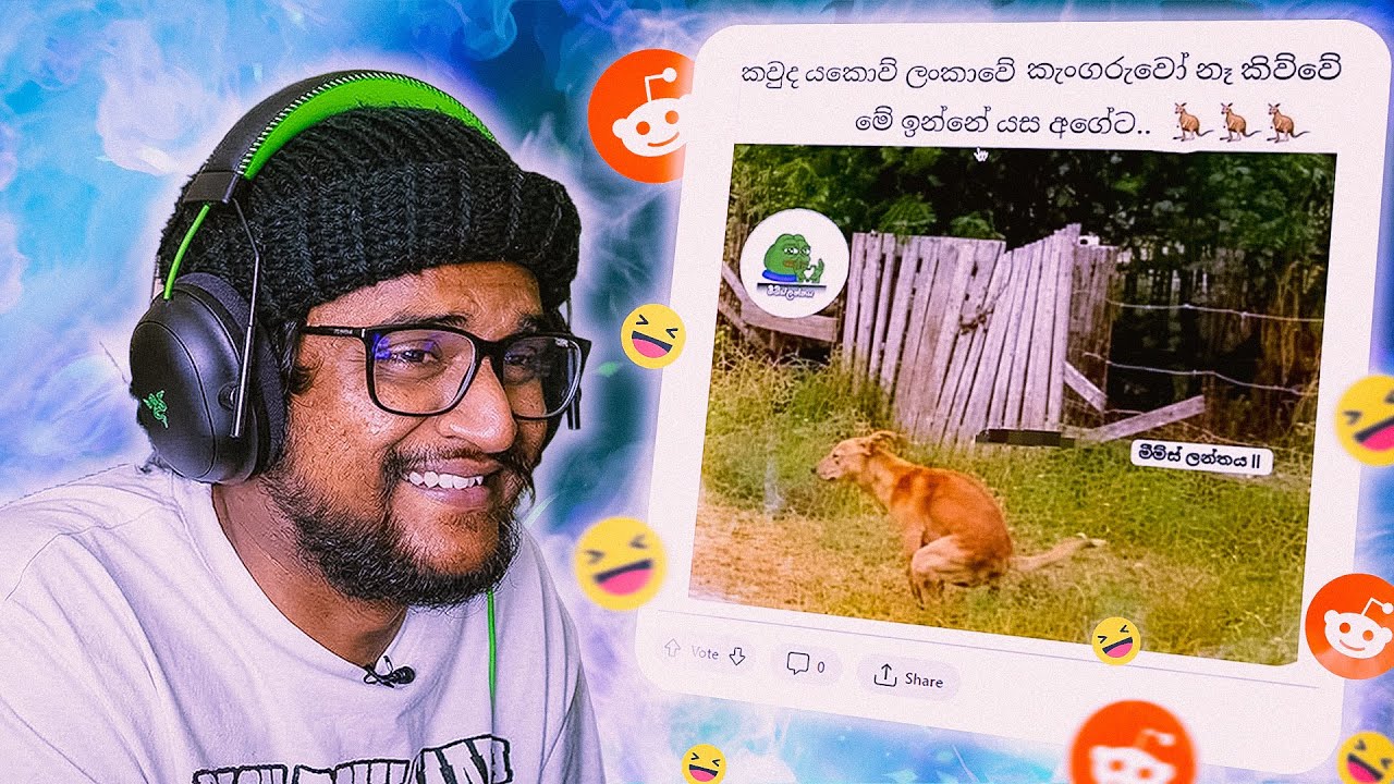 අඩෝ රියල් කැංගරුවා ආහ් !! | The kota